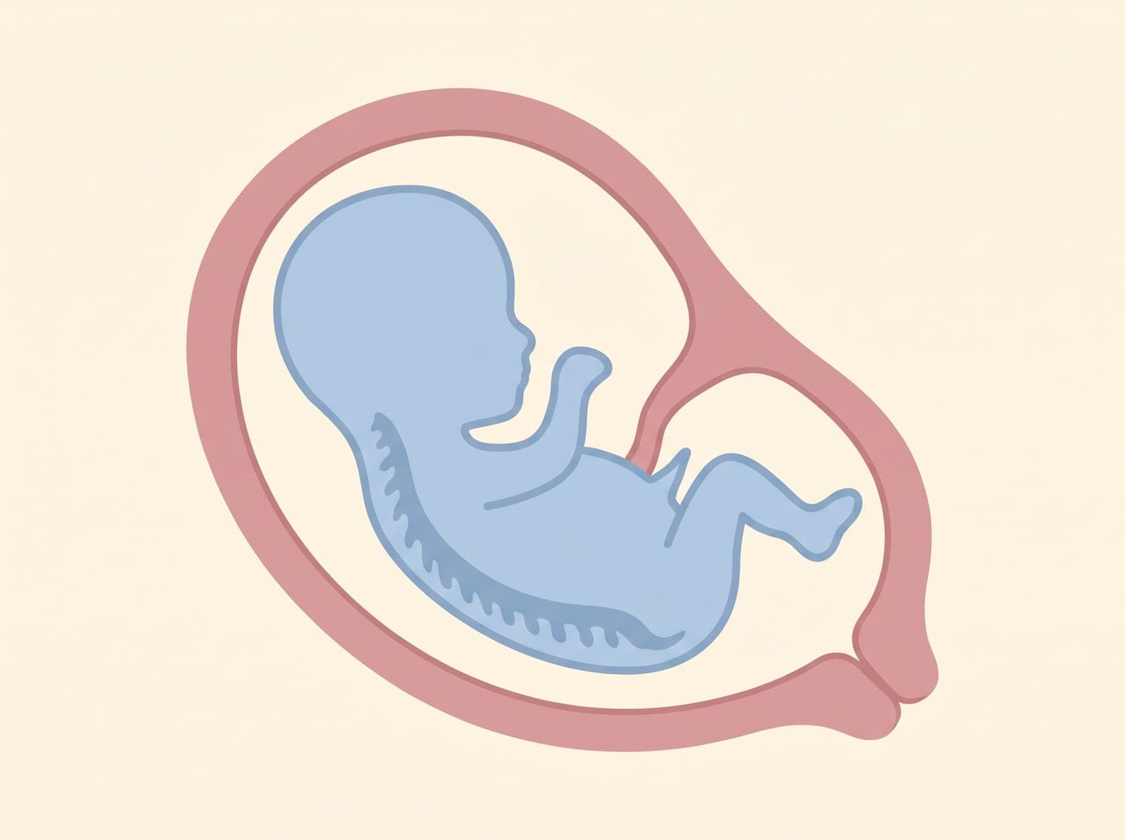 Anterior Placenta & Ramzi Theory: Gender Prediction Accuracy